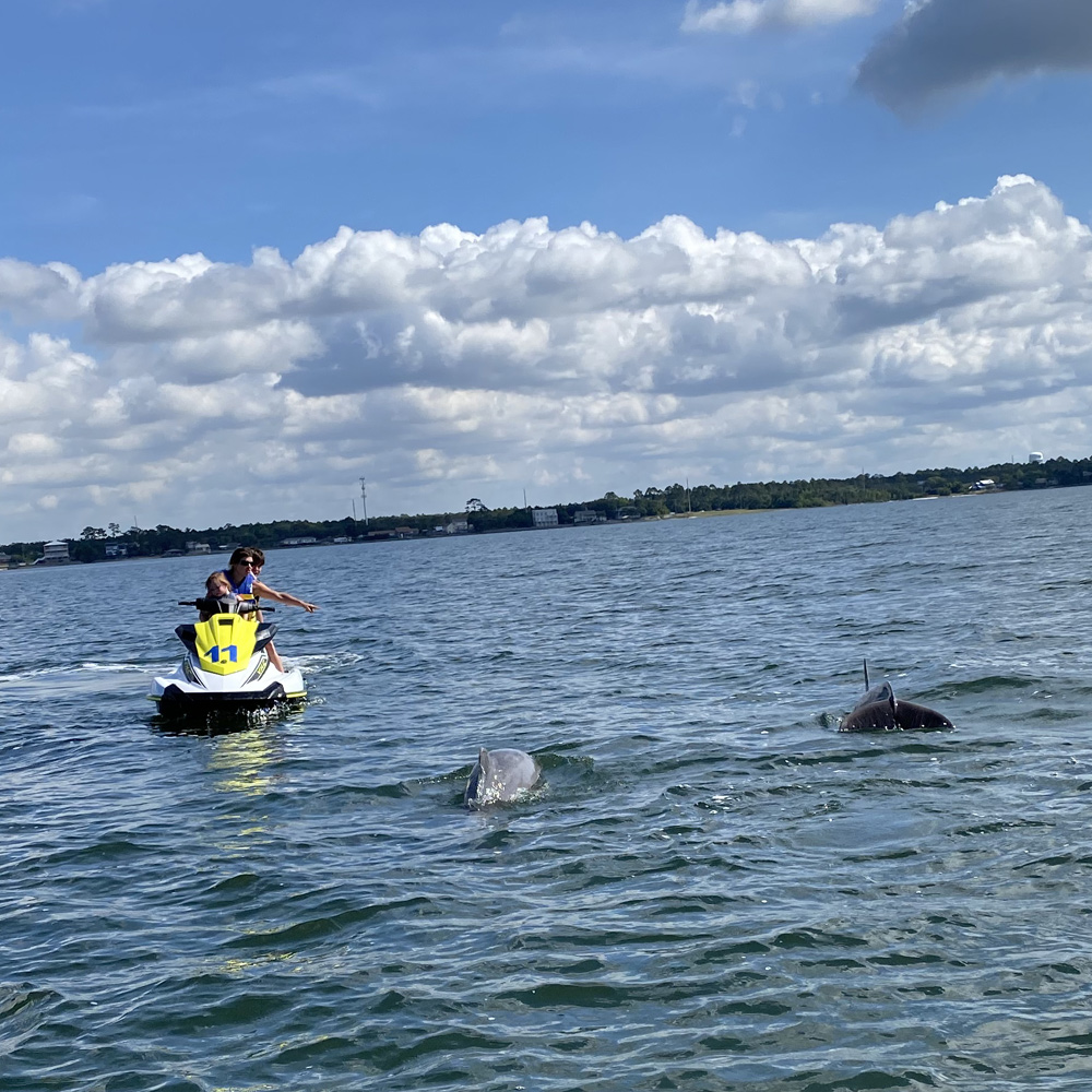 A woman on a yellow Waverunner with two young kids points at two approaching Dolphins